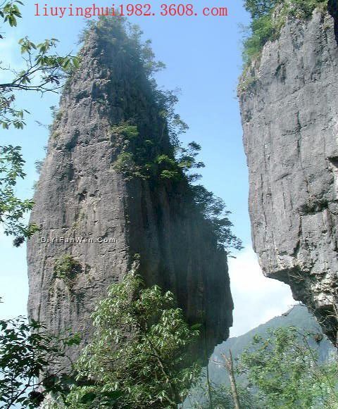 金佛山圖片