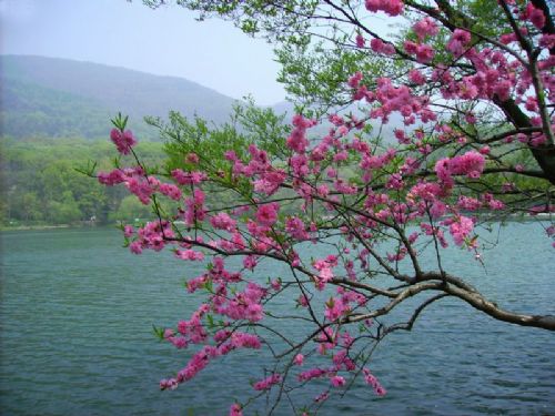 鐘山景區圖片
