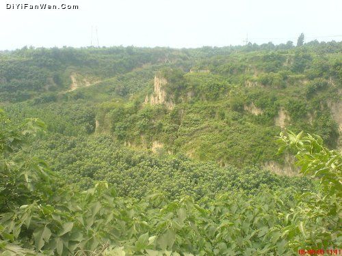 邙山圖片