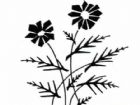 黑板報花邊：線條感花邊