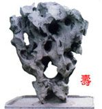 偶園圖片