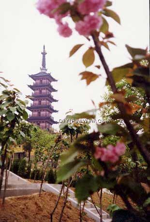 光福塔圖片