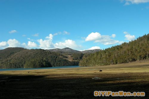 雲南香格里拉圖片