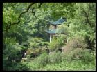 湖南愛晚亭