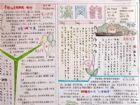 廉潔手抄報：慎“好”是一種為官操守