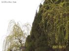 宜昌市濱江公園