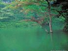 石象湖