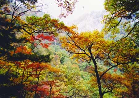 人間仙境白雲山圖片