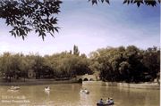 石河子人民公園圖片