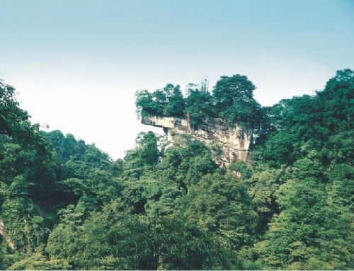 天台山圖片