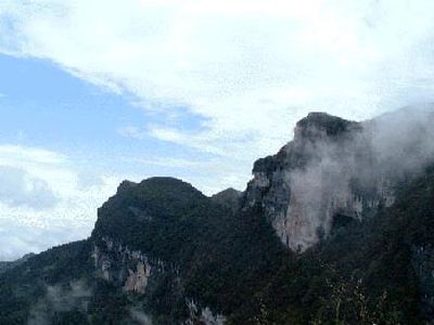 金佛山圖片