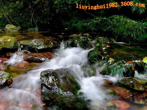 廣西百崖大峽谷圖片