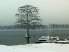 武漢東湖2008的雪