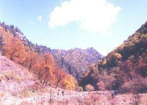 神話般的綠色山谷—吐魯溝圖片