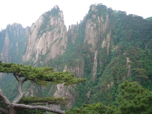 黃山圖片