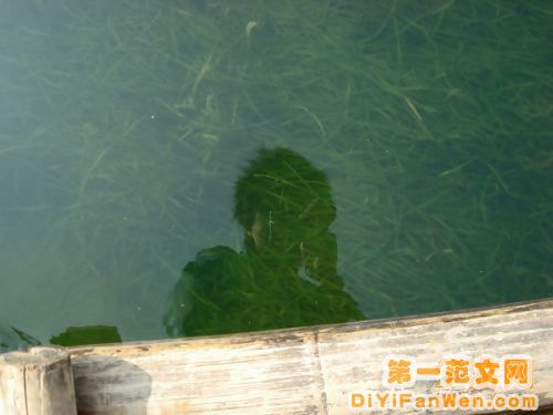 桂林陽朔圖片