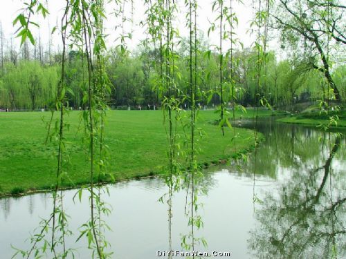 八一公園圖片