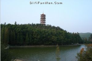 仙湖植物園圖片