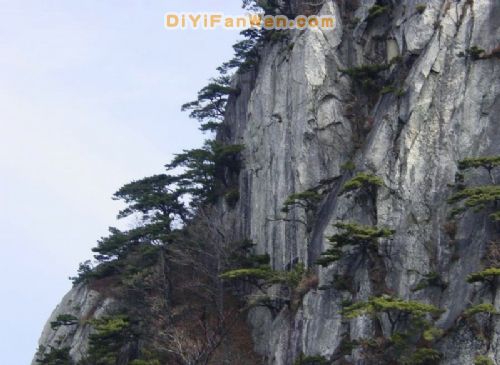 湖北薄刀峰圖片
