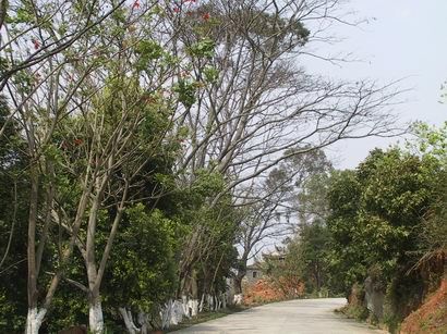 清水岩風景圖片
