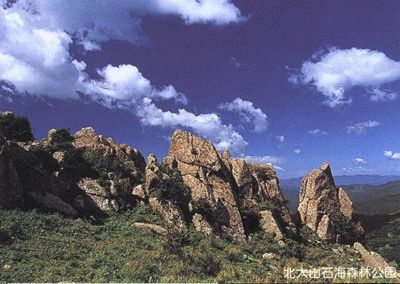 北大山石海森林公園圖片