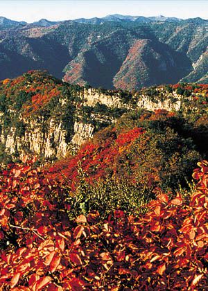 仙台山圖片