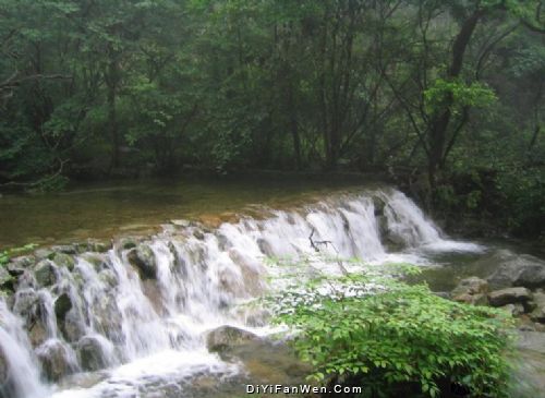 湖北九宮山森林公園圖片