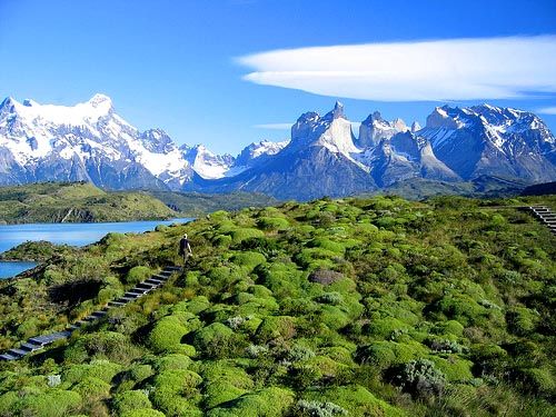 智利托雷德裴恩國家公園圖片