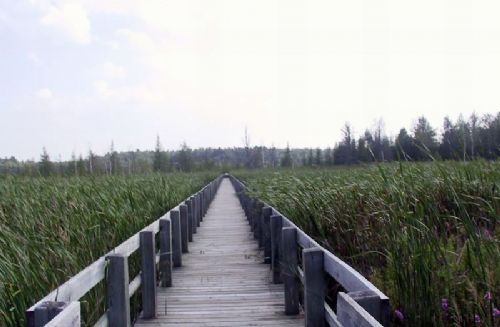 加拿大渥太華風光圖片