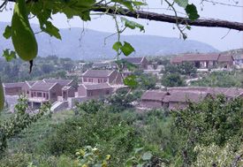 槲樹灣旅遊風景度假區圖片