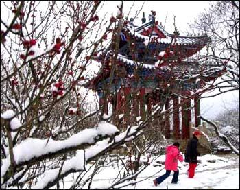 鐘山風景名勝區梅花山圖片