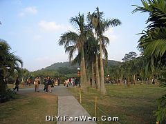 蓮花山公園圖片