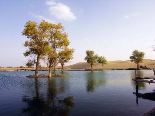 新疆塔里木河圖片