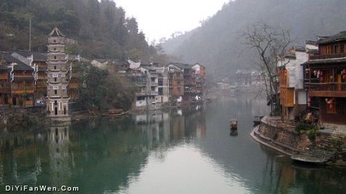 鳳凰圖片