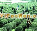 茅山風景區圖片