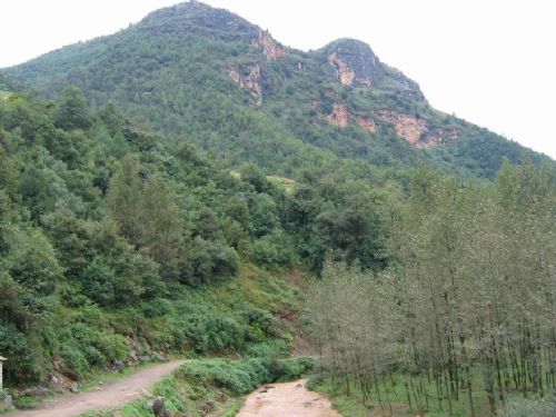 雲南祿勸轎子雪山圖片