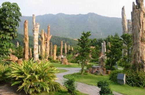 廣東仙湖植物園圖片