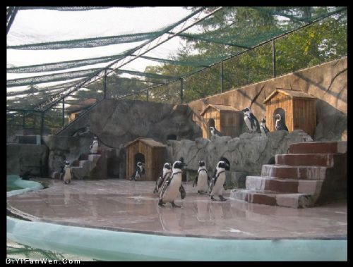 上海動物園圖片