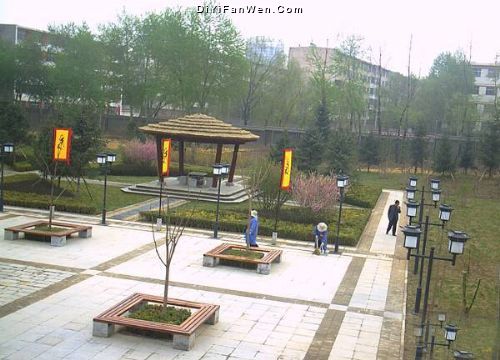 西寧南涼虎台遺址公園圖片
