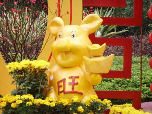 深圳人民公園花展圖片