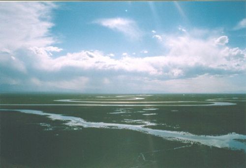 巴音布魯克天鵝湖圖片