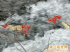 長白山谷底林海