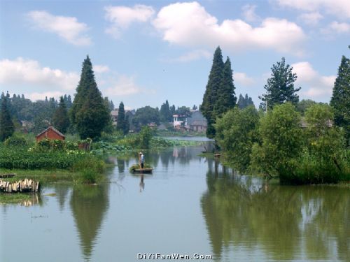 大豐鬥龍莊園圖片