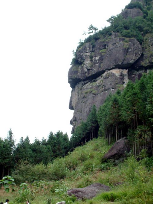 山清水秀神仙居圖片