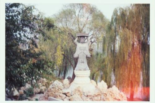 桑木村圖片