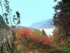 紅葉谷生態文化旅遊區