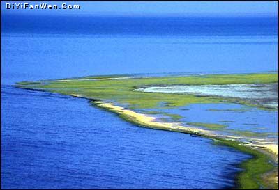 青海湖圖片