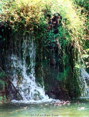 董永祠墓圖片