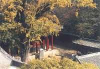 青檀寺圖片
