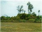 薛家崗古文化遺址